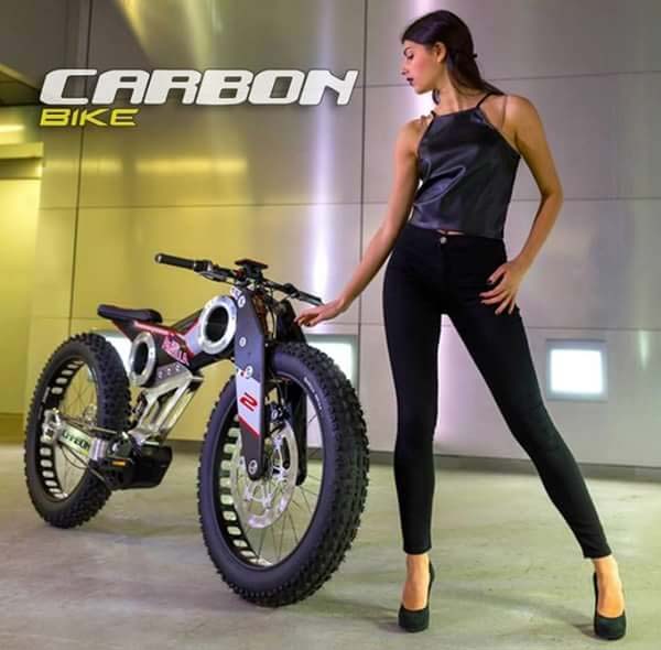 carbon e bike price